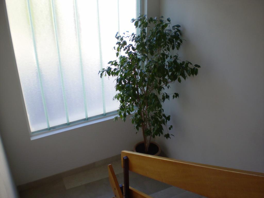 Apartment Jurasovic มาคาร์สกา ภายนอก รูปภาพ